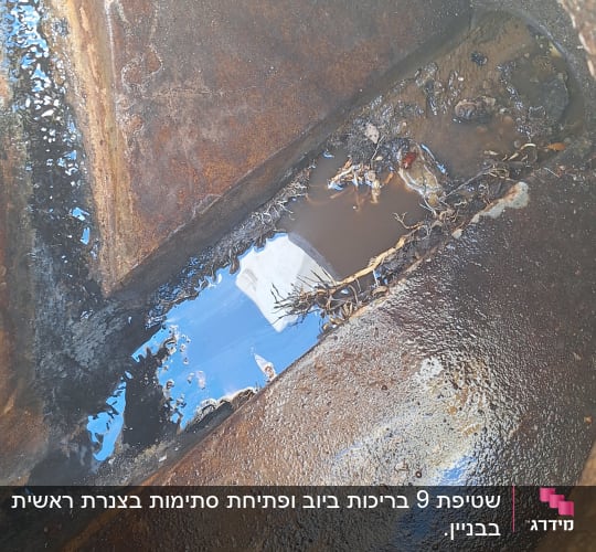 תא ביוב עם מים עומדים ולכלוך